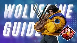 Advanced Wolverine Guide | One Above All Tips & Tricks