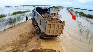 Start Project!! Machinery Processing Road-crossing massive River Dumptruck Soil & Dozer In Actions!