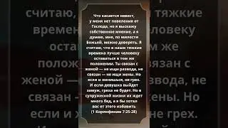 #1Коринфянам 7:25-28 #Библия #СтихДня