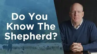 Get To Know The Shepherd (Unforgettable Story!) - Feed Your Soul: Gospel Reflections