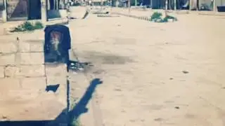صور ديرحافر