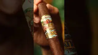 Paradiso (San Cristobal) Relevation | Punch Cut #cigar #smoke