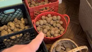 Shredding Squash, Sorting Potatoes and Freezing Chicken #everybitcountschallenge