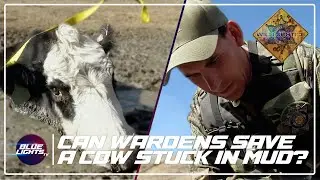 Warden RESCUES Injured Animal | Wild Justice Season 3