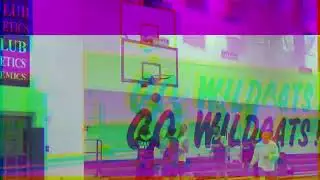 Week 6 Highlights!  