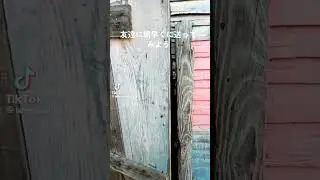 友達に朝早く送ってみよう#チビラ