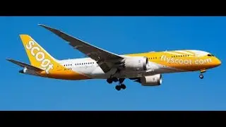 Scoot TGW453 | Kuala Lumpur - Singapore | QualityWings 787-8 | P3D V5.3 | Vatsim