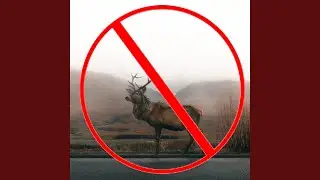 Deer Repellent