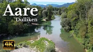 Aare Dulliken, Switzerland [4K] 🌊☀️