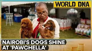 Pawchella 2025: Nairobi&rsquo;s Dogs Steal the Show in Style and Spirit | WION World DNA