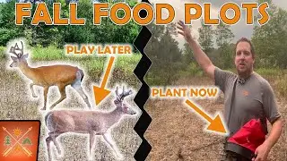 Fall Food Plots for Whitetail Deer: The Ultimate Food Plot Mix!