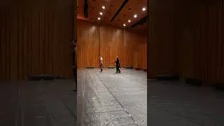 Ach ich f&uuml;hl's - Aria Pamina / W. A. Mozart