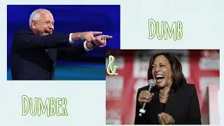 DNC Lies