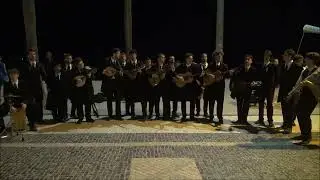 Tuna TS - Rosa à Janela - Quarteira 2024