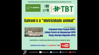 T1.E11 - Galvani e a 