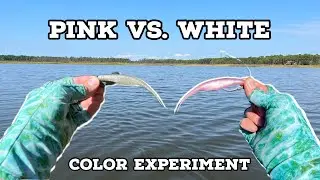 Do WHITE or PINK lures catch MORE fish? LURE COLOR EXPERIMENT
