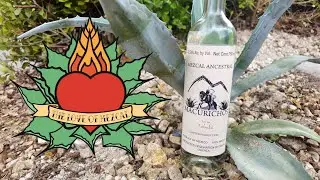 Macurichos Mezcal Review - Tobala Ancestral
