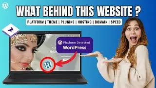 How to Find Complete Detail of any Website using Free Tools (2025)