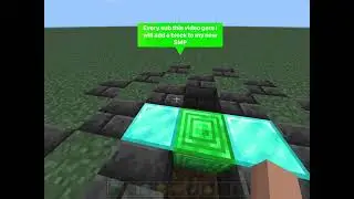 Every sub this video gets i will add one block to my new SMP