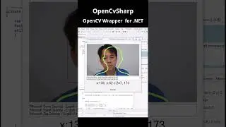 Создание приложения для распознавания лиц для Windows на языке C# с помощью OpenCVSharp | Мой опыт