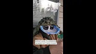 Birds flock to Canadian woman&rsquo;s DIY &lsquo;face feeder&rsquo;
