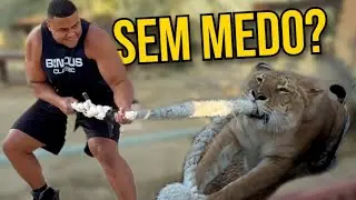BITELO VS LIGRE 😰🐯