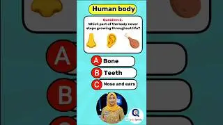 Human Body Quiz #shorts #quiz #humanbody