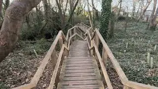 Walk through Lynda&rsquo;s Wood, Gurnard Isle of Wight