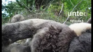 Hunted | episode 5