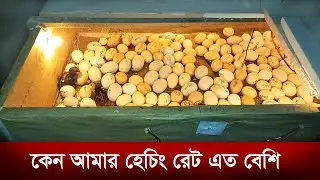 আমি ভিন্ন ইনকিউবেটর ব্যবহার করি না, আমি একই ইনকিউবেটর ভিন্নভাবে ব্যবহার করি | @mh.v
