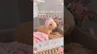 Capybara crochet plush! 🤎 #capybara #crochet #kawaiicrochet #crochetplushie #amigurumi #cuteanimals