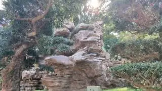 #gardenscapes #rock #rockcloud