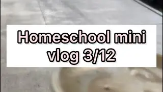 Homeschool mini vlog 3/12 spring break #HRHVallarta #puertovallarta