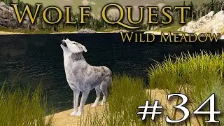 Wild Wolf MEADOWS Along the Shore!! 🐺 WOLF QUEST: WILD MEADOW • #34