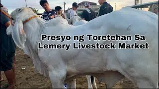 Presyo ng Toretehan sa Lemery Batangas Livestock Market