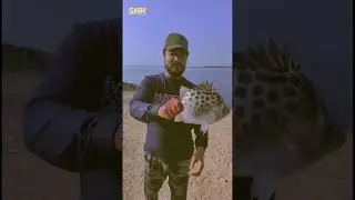 Catched 1 Kg Live fish from Sea site during picnic. Explore with Hasani
