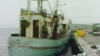Bottomfish: Alaska's Future Fishery? (1979)