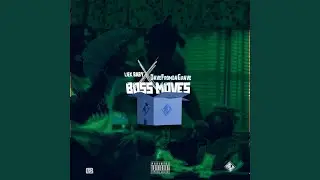 BOSS MOVES