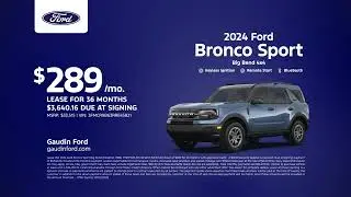 Ford 11/28/2024 4614021