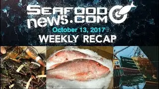 Codfather Vessels; Imports Block; Maine Lobster Catch; Red Snapper Plot; Salmon Ballot Question