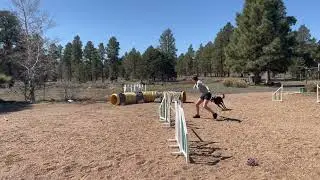 Training Challenge: Teach your dog to focus on the center of the bar