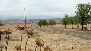 Hər şeyi qıt, problemi bol olan Bolludərə - Şəkidə müxbirimizin gördükləri