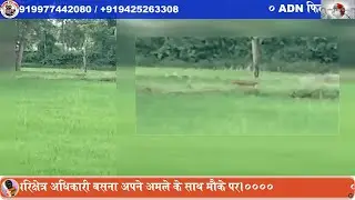 तेंदुआ ,, ब्रेकिंग ADN न्यूज़ की ग्राउंड जीरो से रिपोर्ट।
