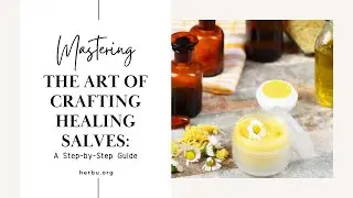 Unlock the Power of Healing Salves: DIY Secrets Revealed
