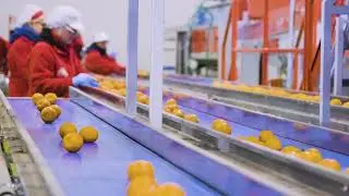 Ser.mac - L’Agricola Don Camillo sceglie la Ca.Ro 40 per la lavorazione degli agrumi