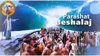 Parash&aacute; Beshalaj - 