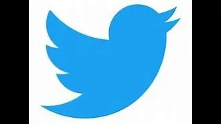Searching Instagram but, if I see Twitter the video end's.
