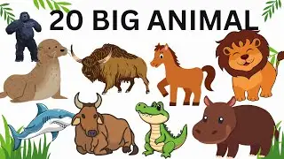 Top 20 Giant Animals on Earth | Biggest Wildlife Creatures |Giant Animals in English| #giantanimals