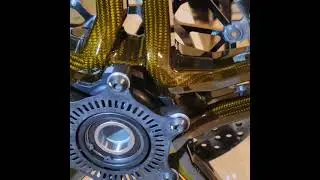 BST Gold Rapid Teks