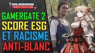 GAMERGATE 2 - UN ANCIEN DIRECTEUR DE BLIZZARD BALANCE DES DINGUERIE SUR ESG & SWEET BABY